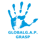 GRASP_hand_blue-title