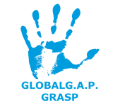 GRASP_hand_blue-title